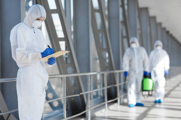 Best Mold Remediation for Healthcare Facilities  in Tubac, AZ