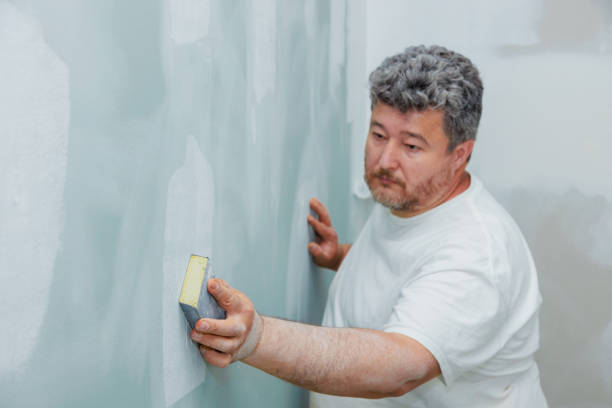 Reliable Tubac, AZ Mold Removal Solutions