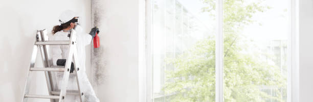 Best Comprehensive Air Testing for Mold Contaminants  in Tubac, AZ