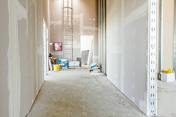 Best Dehumidification Services  in Tubac, AZ
